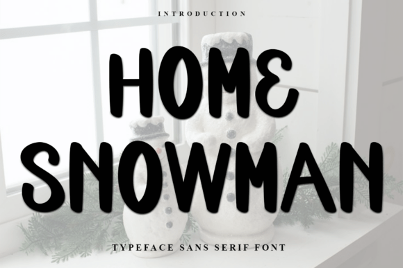 Home Snowman: A Practical Evaluation of Its Design and Versatility